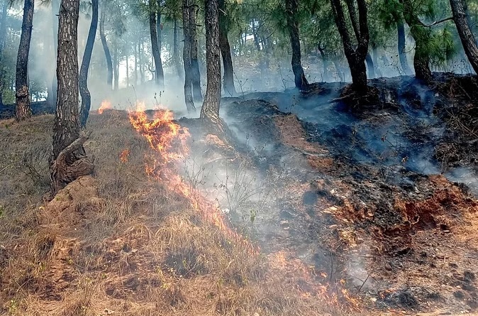 आग से धधक रहे पहाड़ी जनपदों के जंगल